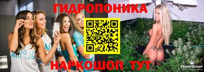 спайс Нальчик