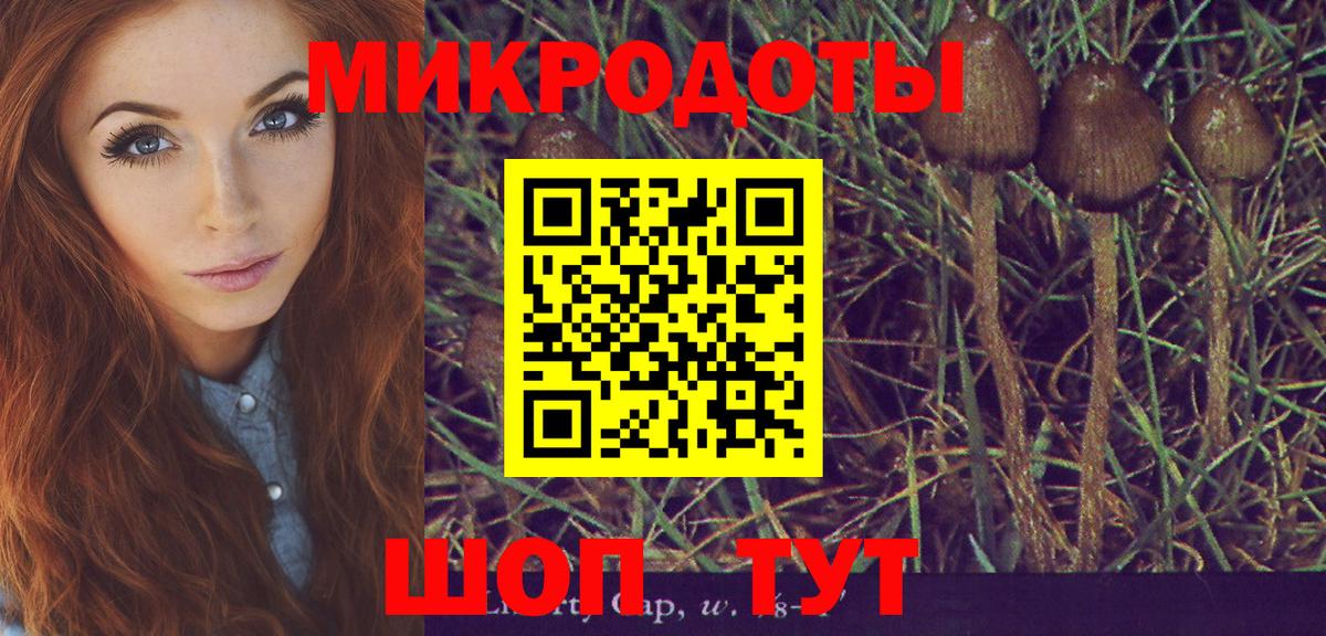 Ростов Великий  Псилоцибиновые грибы Cubensis  Вход с VPN  купить  сайты  Галлюциногенные грибы MAGIC MUSHROOMS 