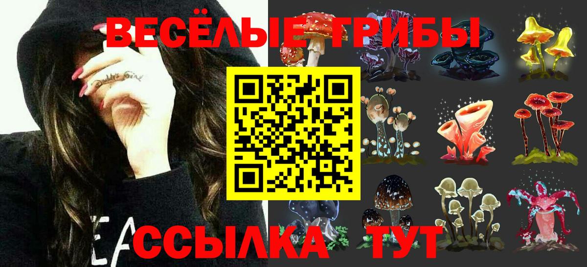 Галлюциногенные грибы мухоморы Ростов Великий